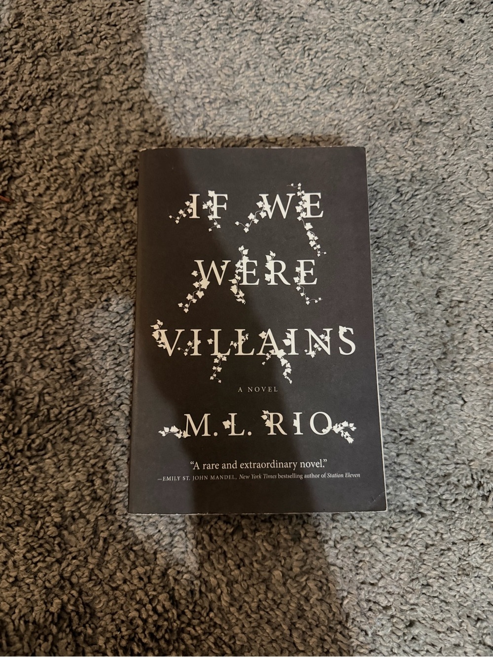 Barnes & Noble Black Paperback Novel — If We Were Villains Style
